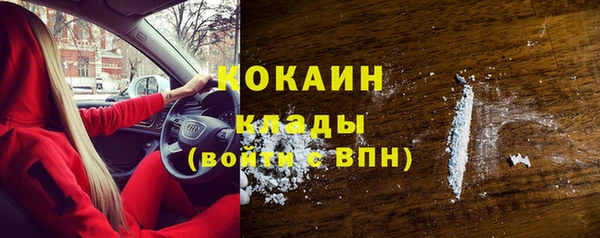 прущие грибы Арсеньев