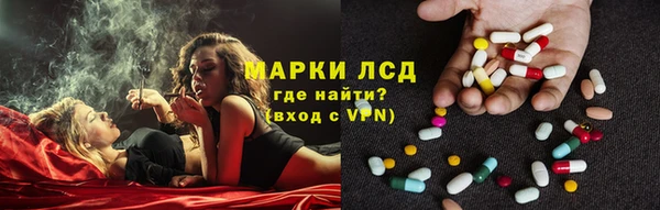 apvp Аркадак