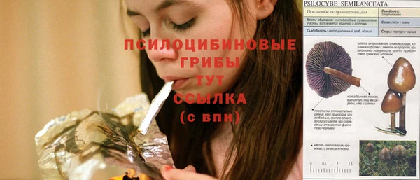 прущие грибы Арсеньев