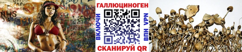 Псилоцибиновые грибы GOLDEN TEACHER  Устюжна 